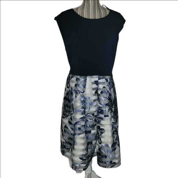 Blue and White Dress by established 1952 - Picture 1 of 8